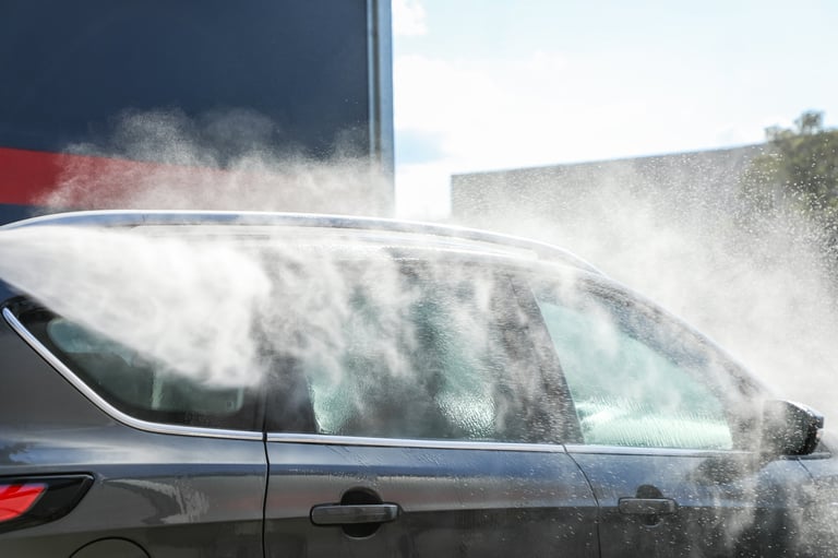 Professional car service and detailing